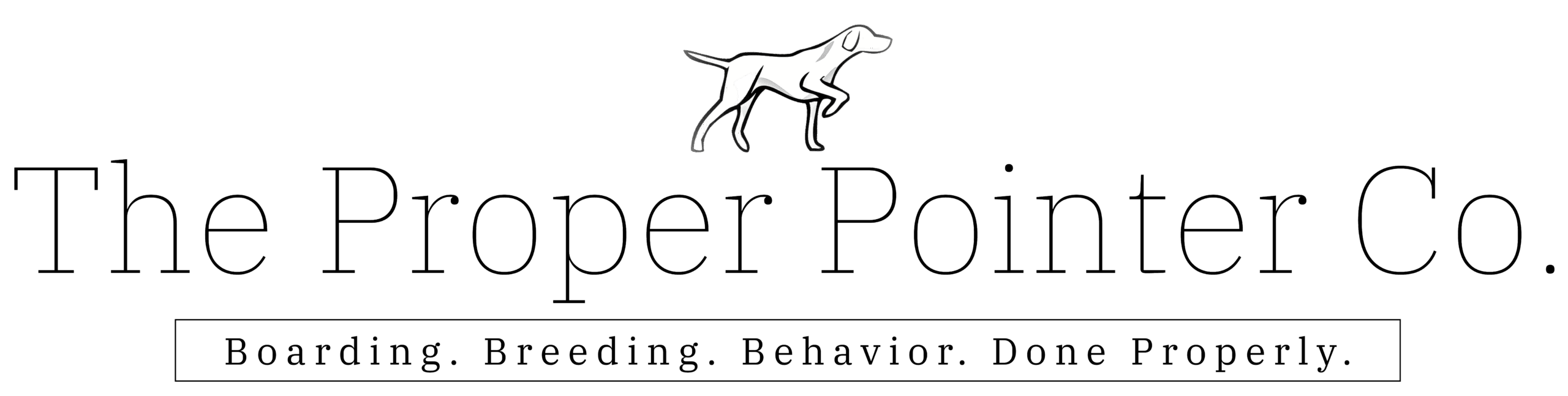 The Proper Pointer Log