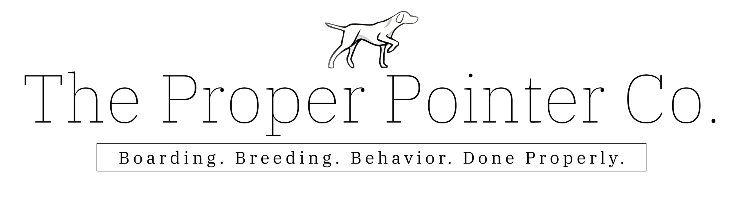 The Proper Pointer Log