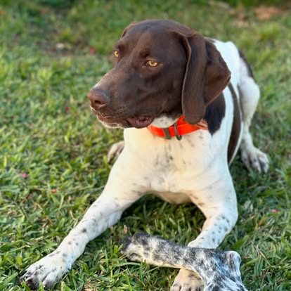 463916707_18340399342121874_7558655177927447658_n