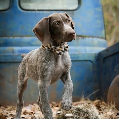 472091342_2061076487654487_9198947421200967491_n