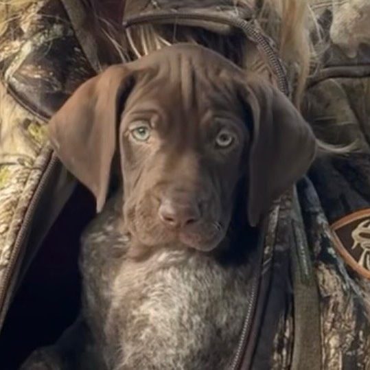 474188433_18352411840121874_7160507285942178477_n Kevin Kuykendall