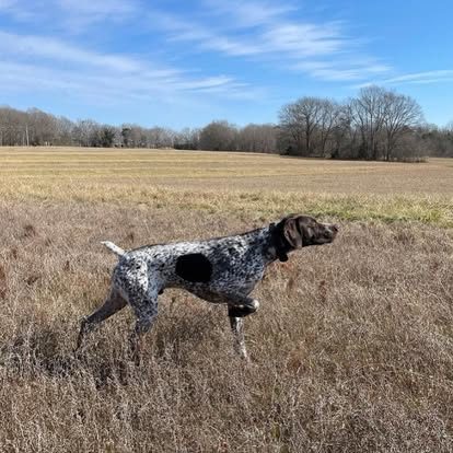 474463645_2075750489520420_4805297155170090579_n