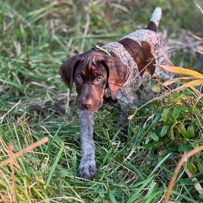 477126284_18355347310121874_6855586165628534552_n Kevin Kuykendall