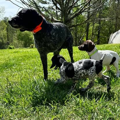 480506205_1058352842997932_2271443549112124338_n