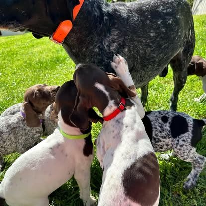 480582652_1058353039664579_6276944698082932435_n