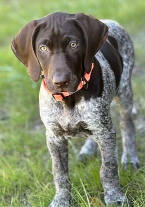 481007465_18356852938121874_8956624618797701294_n