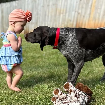 481175633_1065870508912832_7413215061946977761_n