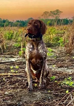 486837047_1089607503205799_3038946880372879839_n