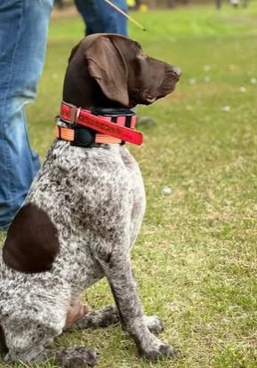 488220333_18362287420121874_3298079549272129374_n