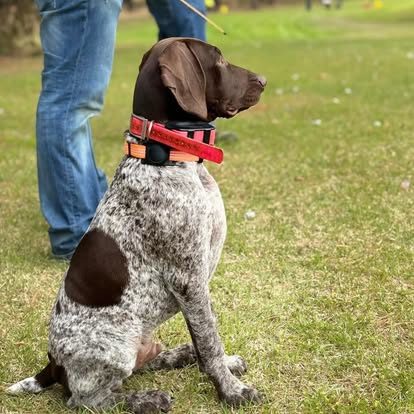 488220333_18362287420121874_3298079549272129374_n