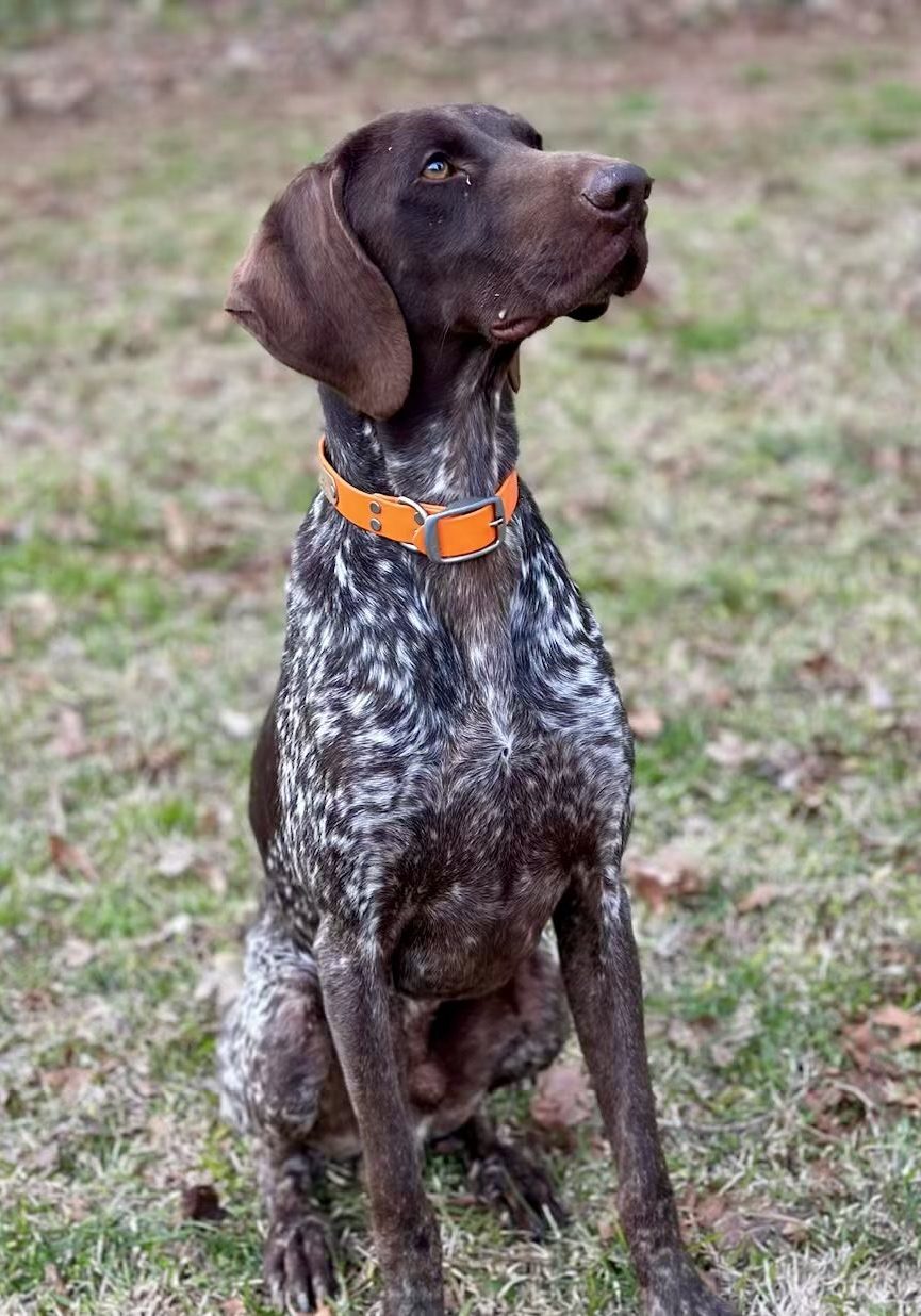 IMG_7785 Kevin Kuykendall