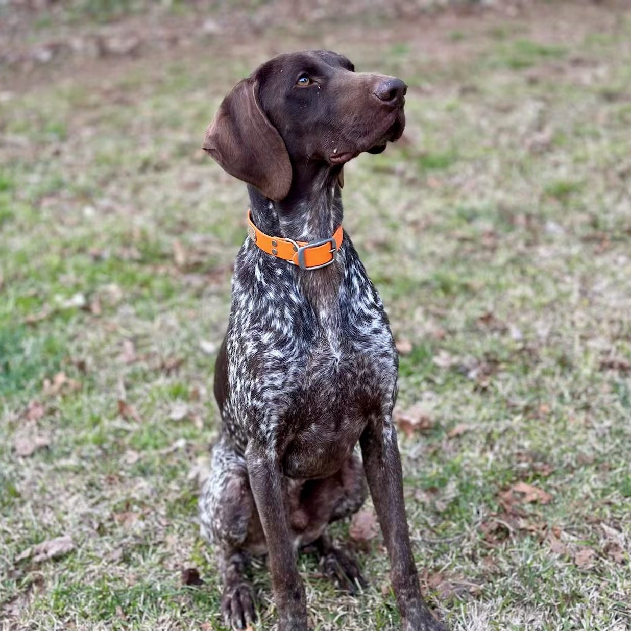 IMG_7785 Kevin Kuykendall